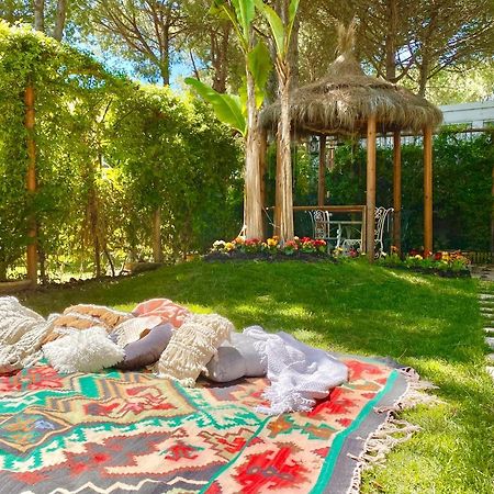 Beach Garden Paradise دراس المظهر الخارجي الصورة