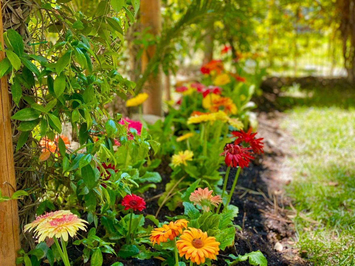 Beach Garden Paradise دراس المظهر الخارجي الصورة