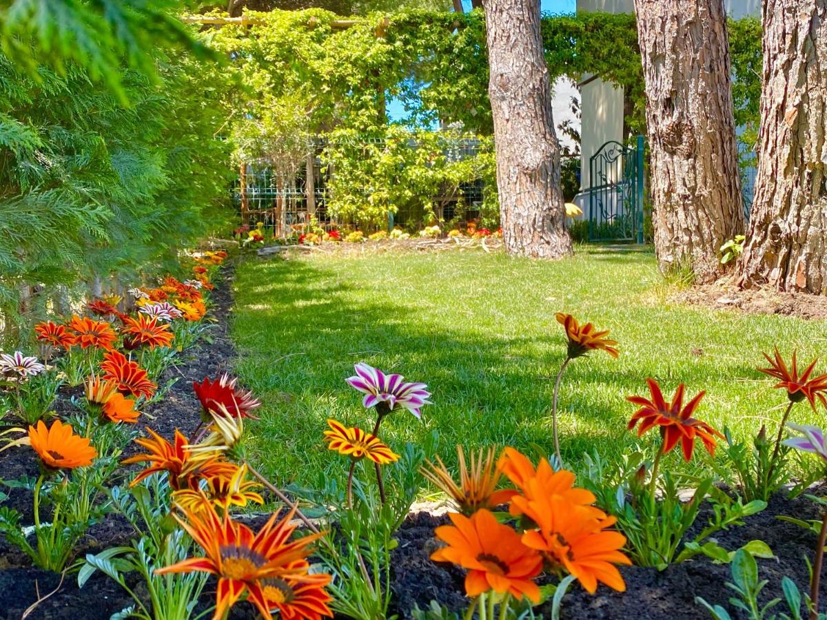 Beach Garden Paradise دراس المظهر الخارجي الصورة