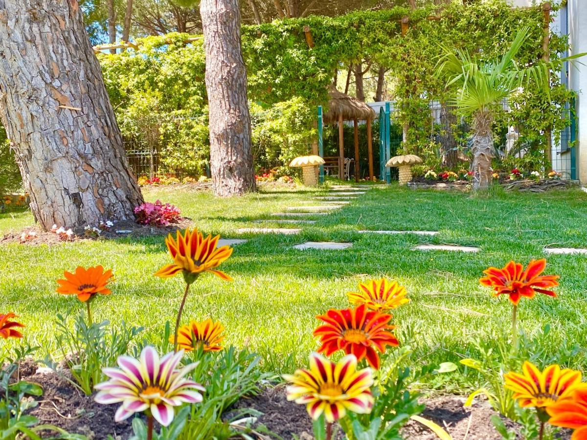 Beach Garden Paradise دراس المظهر الخارجي الصورة