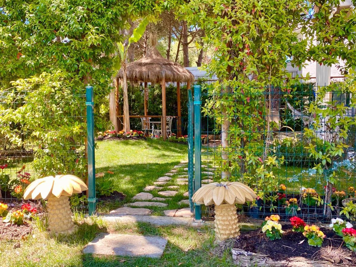 Beach Garden Paradise دراس المظهر الخارجي الصورة